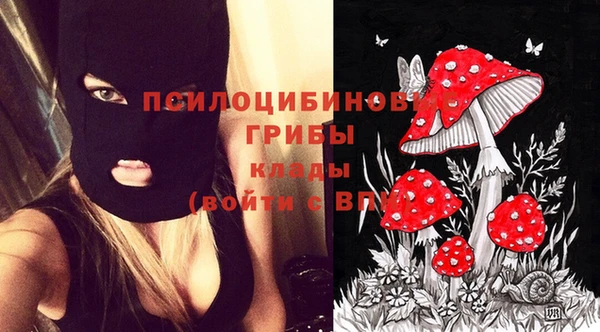 таблы Осинники